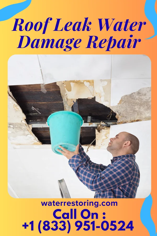 Roof Leak Water Damage Repair in Roosevelt, UT